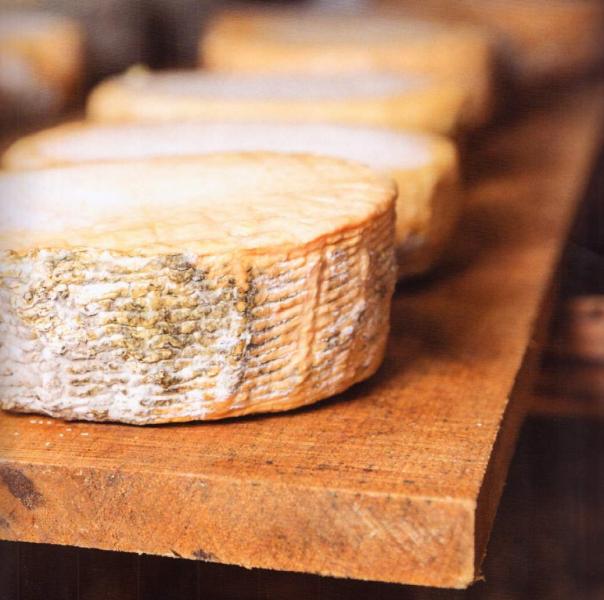 Молокосвертывающие препараты