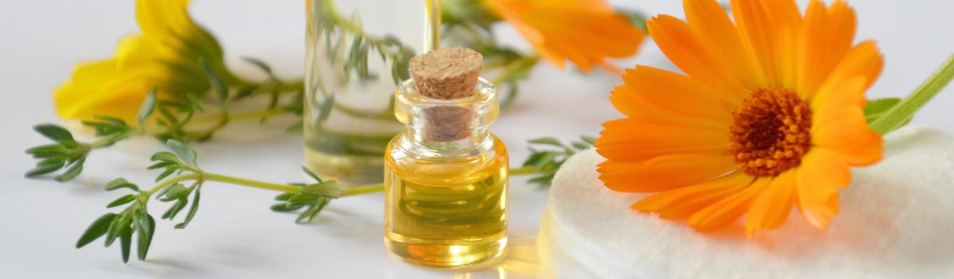 Экстракты календулы