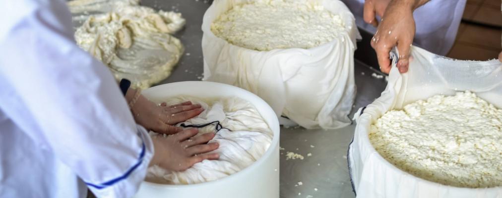 Мастер-классы от ЗЭФ по сыроварению